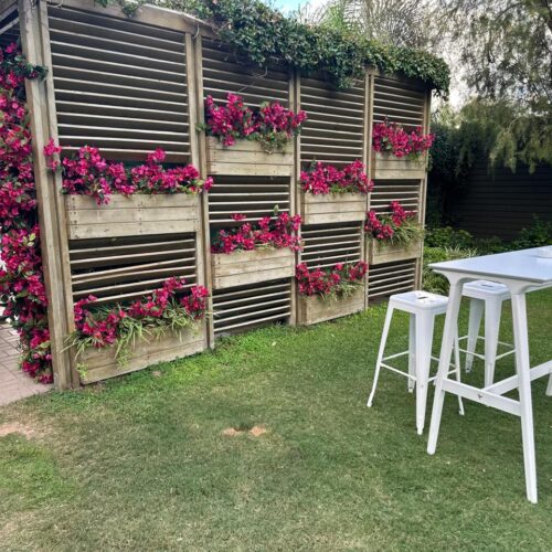 team building - event makers greece (6)